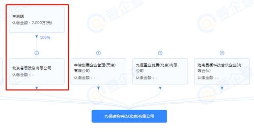 王思聰跨界布局，投資成立半導體制造公司引領技術新浪潮